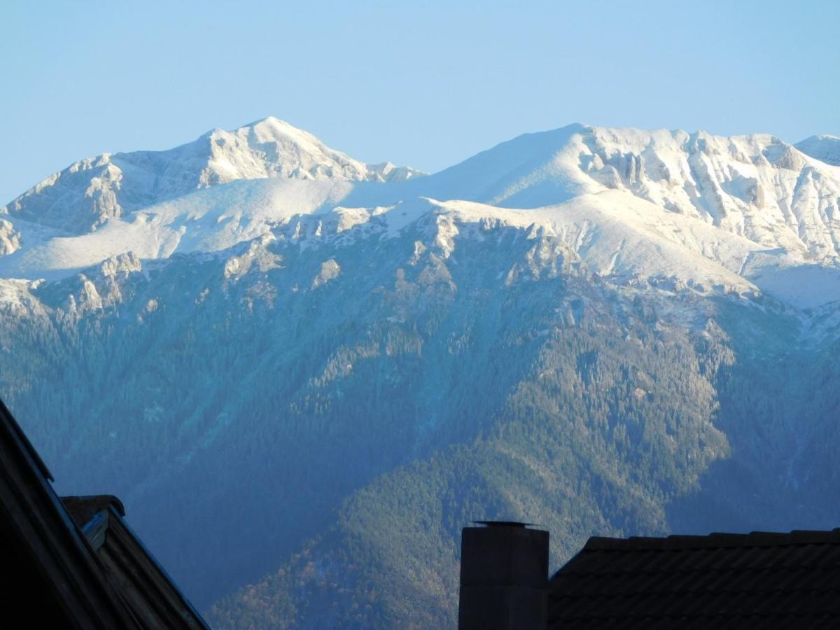 Mountain Vista Suites Zărneşti Exterior foto